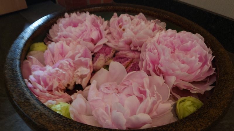 たくやさんの神馬の湯のサ活写真