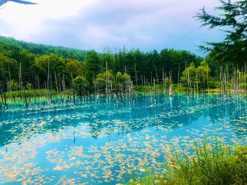 せんちゃん🐄 𝕤𝕖𝕟𝕔𝕙𝕒𝕟さんの吹上温泉保養センター 白銀荘のサ活写真