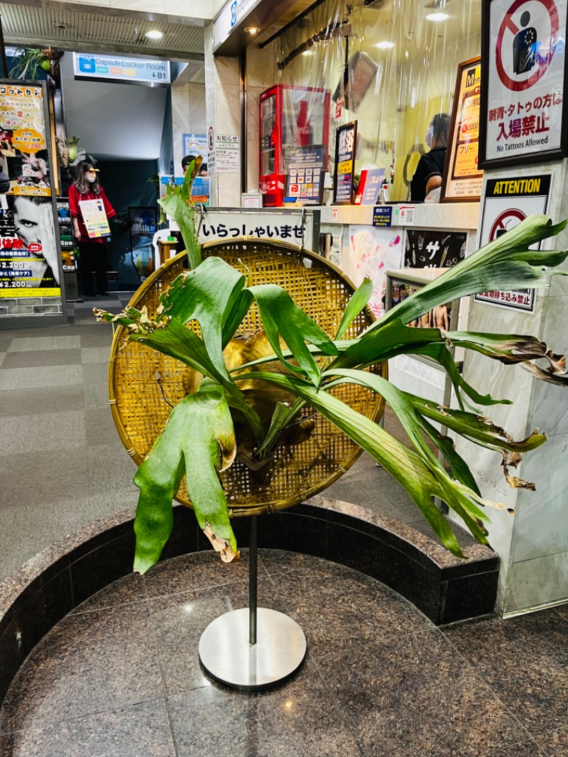 ♨️ふじふじ♨️さんのスパ&カプセル ニューウイングのサ活写真