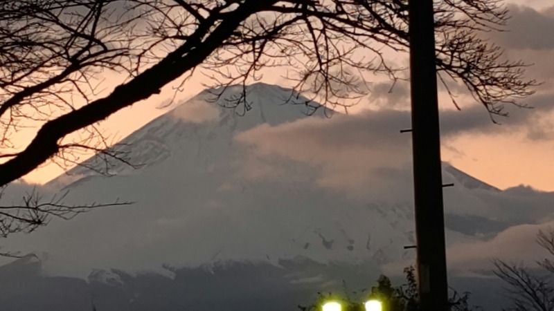 がんこさんの天然温泉 富士桜の湯 ドーミーインEXPRESS富士山御殿場のサ活写真