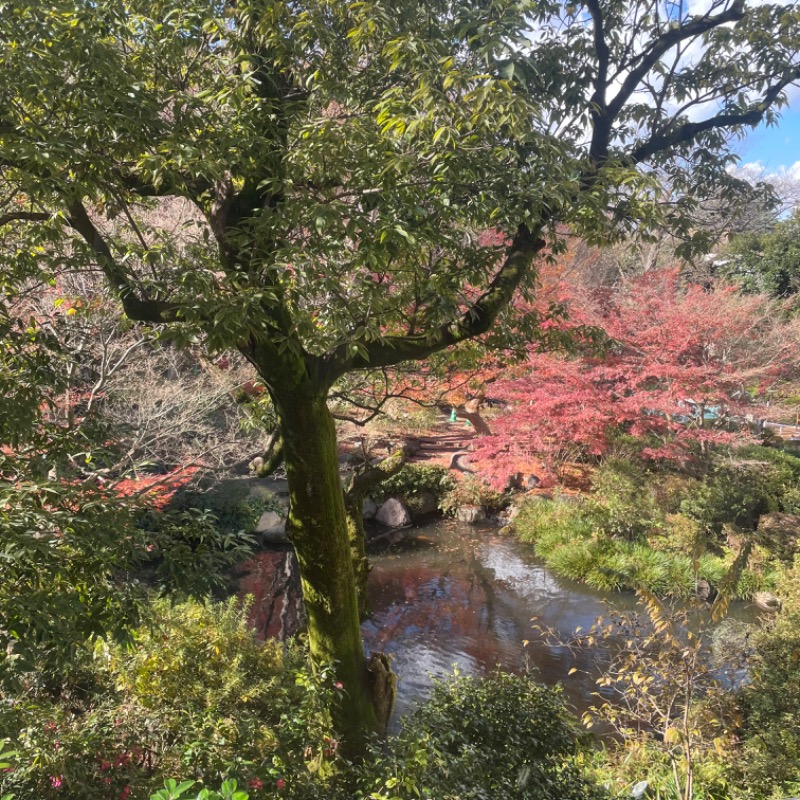 けんぴと🥵🥶🫠さんの豊島園 庭の湯のサ活写真