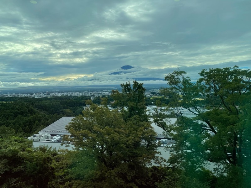 tiku.tiku（巻きタオル流サ道部）さんの木の花の湯(HOTEL CLAD)のサ活写真