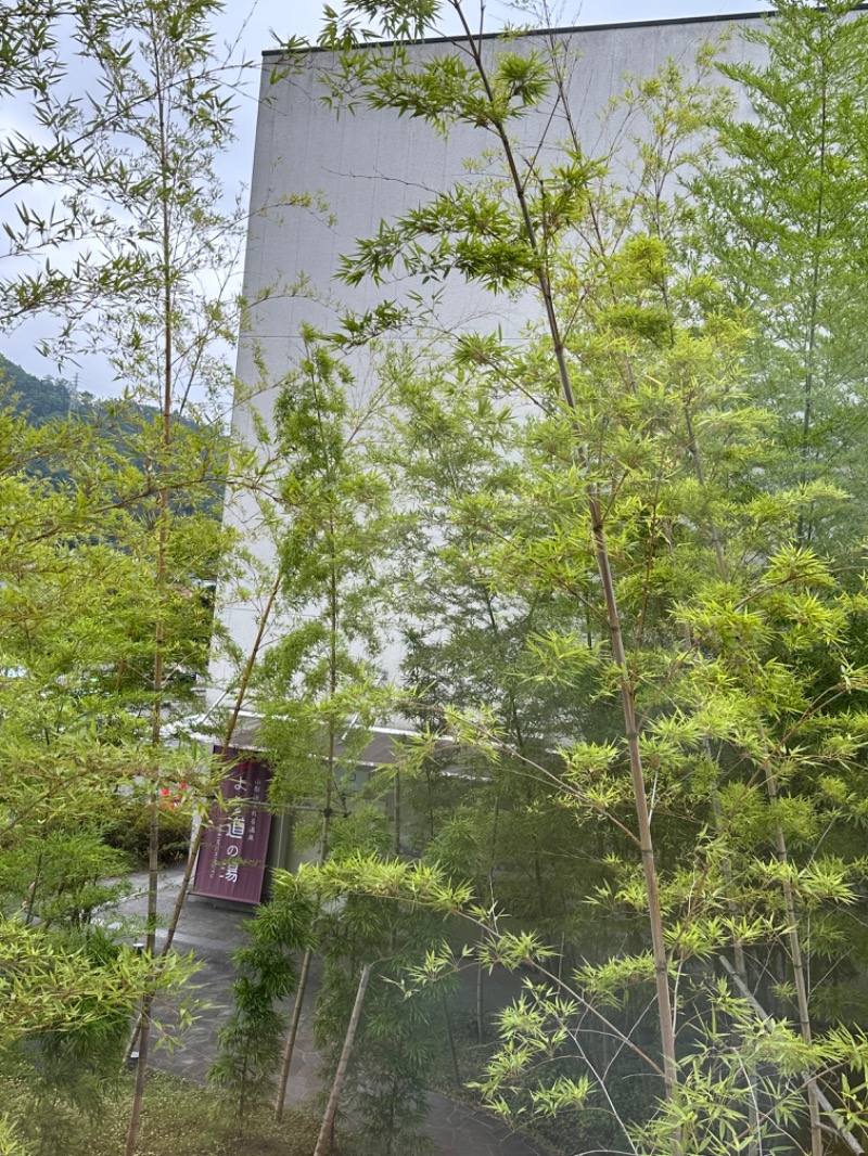 Lisaさんの山梨泊まれる温泉 より道の湯のサ活写真