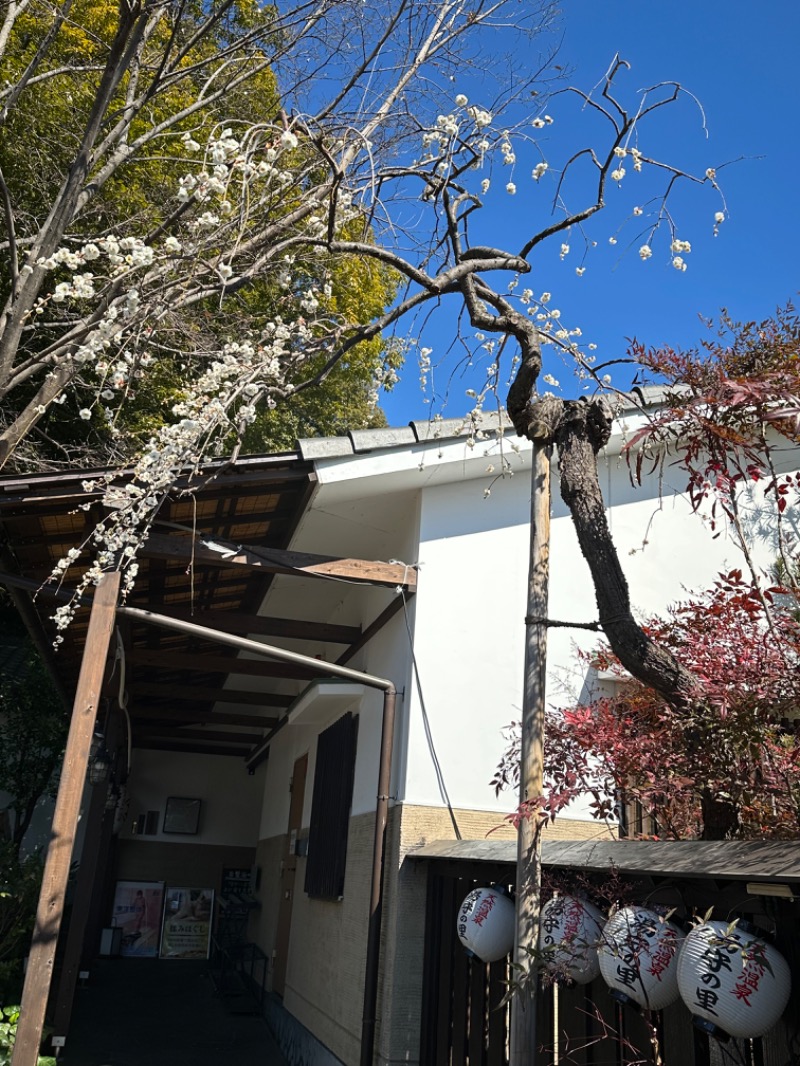 Lisaさんの深大寺天然温泉 湯守の里のサ活写真