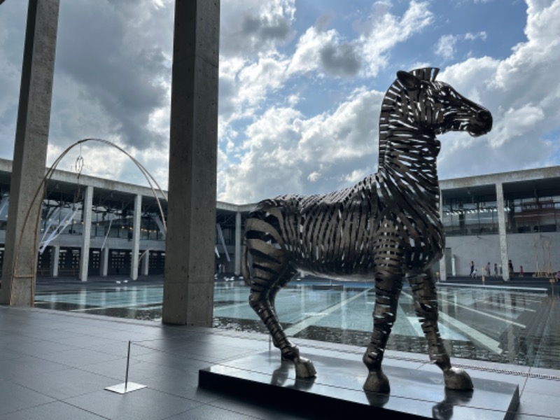 Lisaさんの越後妻有交流館キナーレ 明石の湯のサ活写真