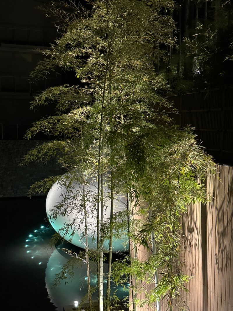 Lisaさんの東急ハーヴェストクラブ京都鷹峯(ホテルハーヴェスト京都鷹峯)のサ活写真