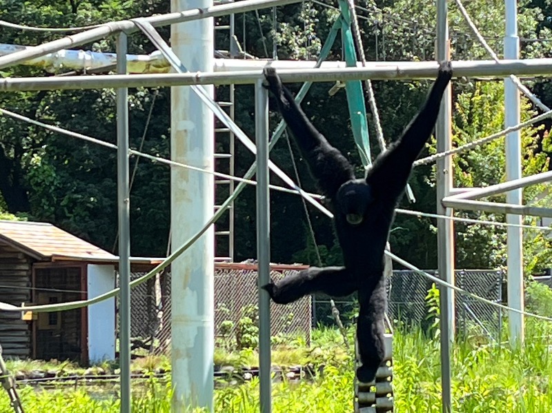 脳筋サウナーさんの天然温泉 三峰のサ活写真