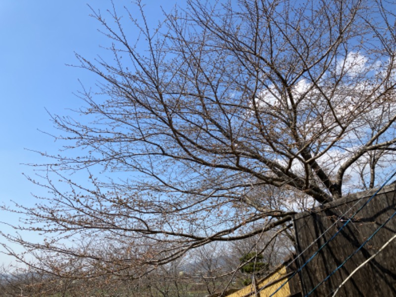 ミントちんさんのカルナパーク花立山温泉のサ活写真