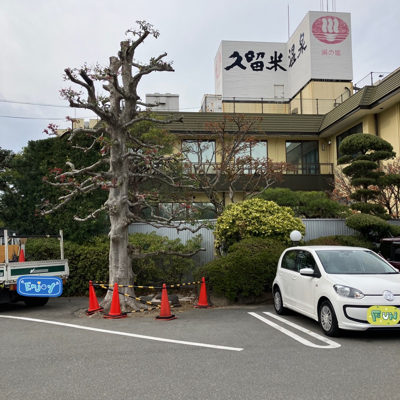 ミントちんさんの湯の坂 久留米温泉のサ活写真