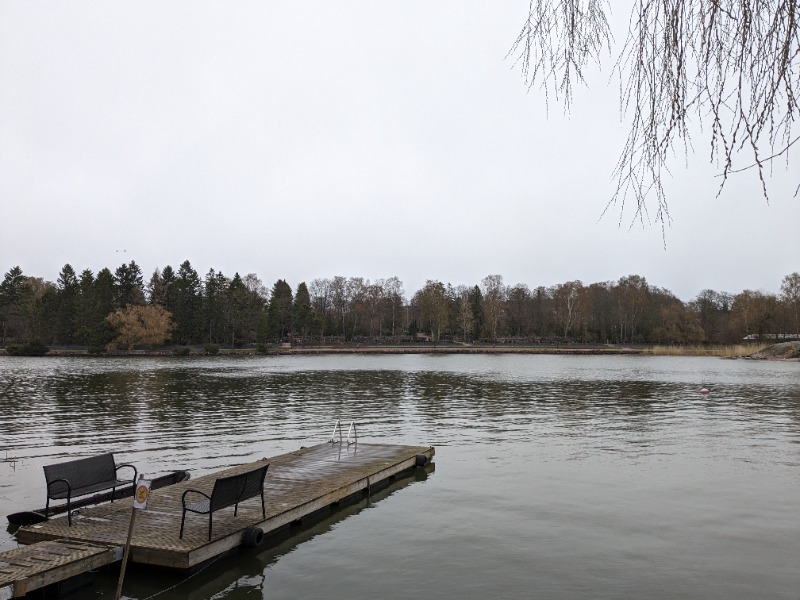 ひつじさんのLähteen Sauna Lapinlahden Lähdeのサ活写真