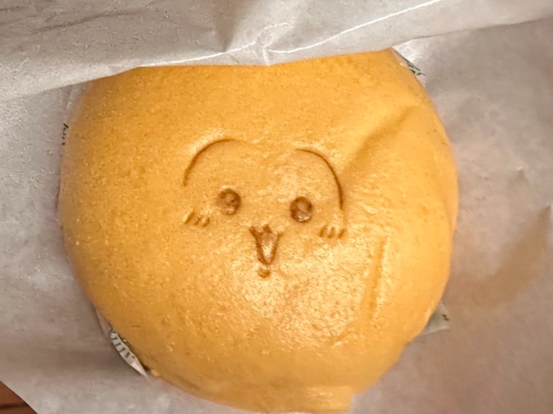 かとちんさんの綱島源泉 湯けむりの庄のサ活写真