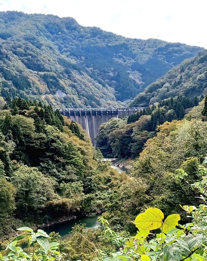 しょう1188さんのゆ～ゆうランド・花椿のサ活写真