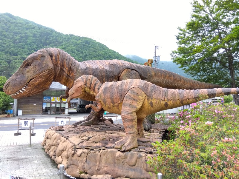 彼の者@サウナースマンさんの九頭竜温泉平成の湯のサ活写真