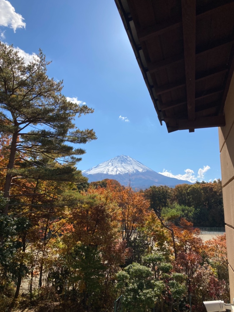 (・×・)さんの富士眺望の湯 ゆらりのサ活写真