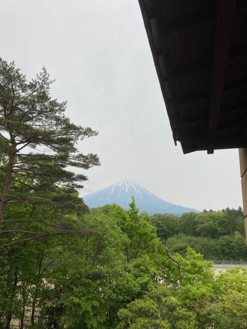 (・×・)さんの富士眺望の湯 ゆらりのサ活写真