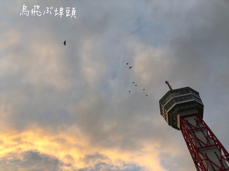 ワニ子さんのみなと温泉 波葉の湯のサ活写真