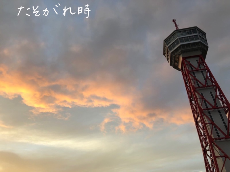 ワニ子さんのみなと温泉 波葉の湯のサ活写真