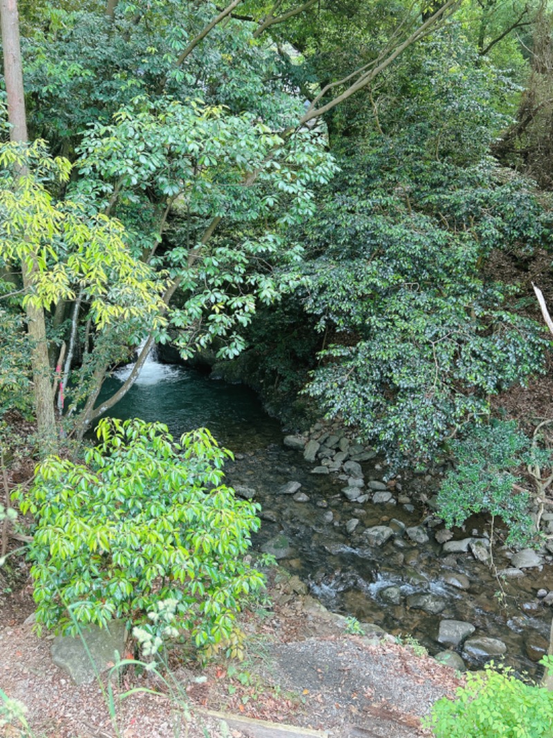 ちーさんの二ノ丸温泉のサ活写真