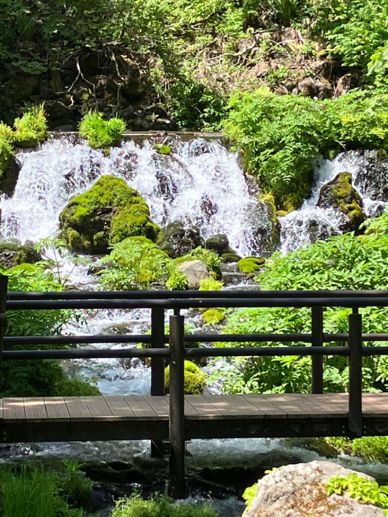 ヨシヨシさんの京極温泉 京極ふれあい交流センターのサ活写真