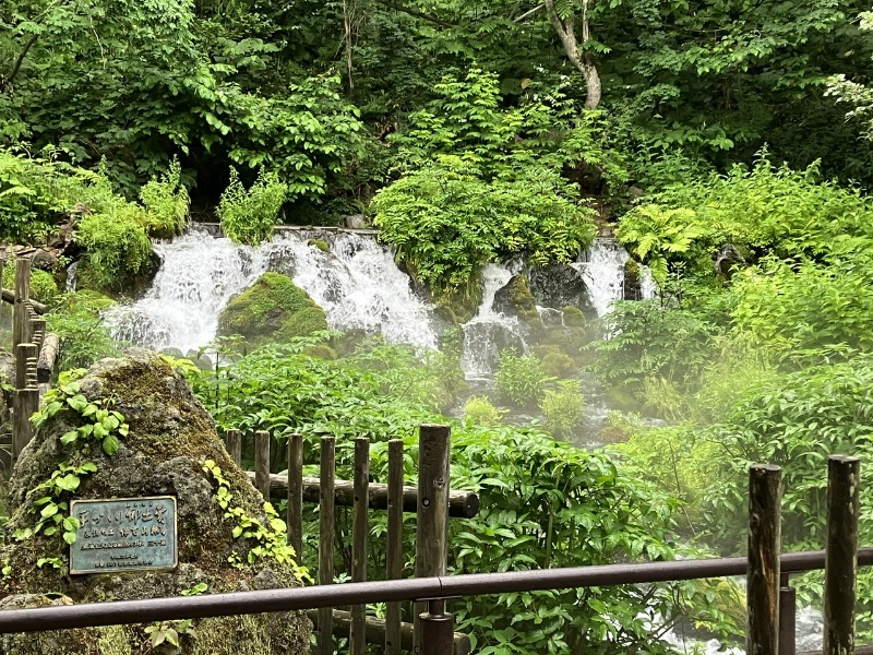 ヨシヨシさんの京極温泉 京極ふれあい交流センターのサ活写真