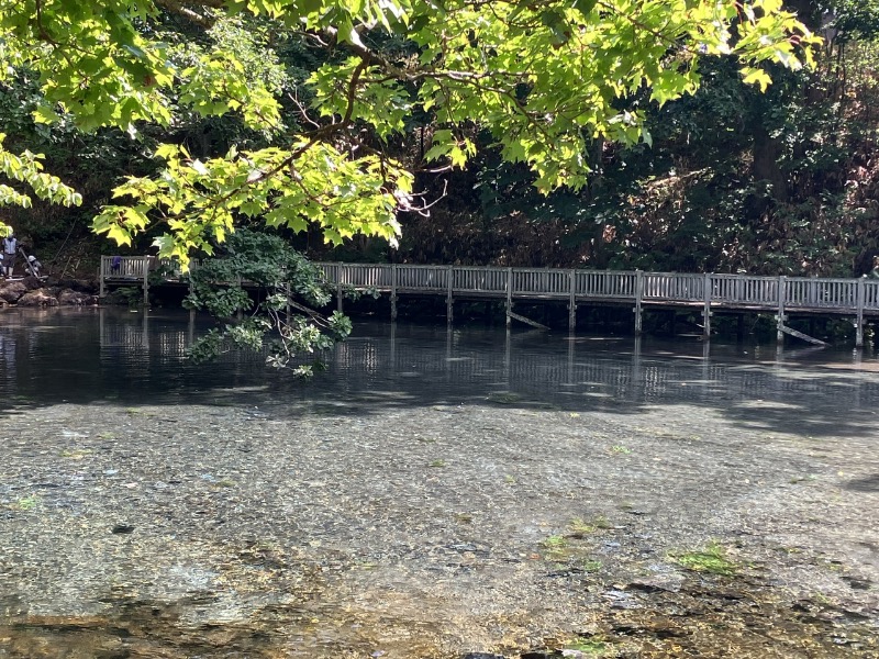 ヨシヨシさんの京極温泉 京極ふれあい交流センターのサ活写真