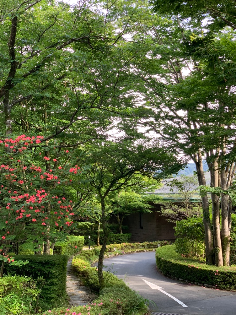 ☺︎さんのトスラブ箱根 和奏林のサ活写真
