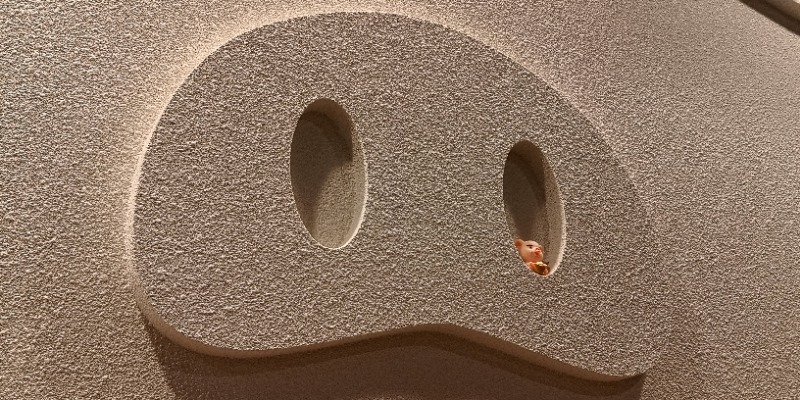 レインボーゆうさんの生姜サウナ 金の亀のサ活写真