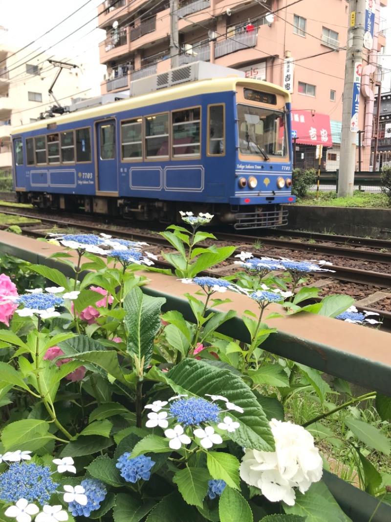 じゅんさんのカプセルイン大塚のサ活写真