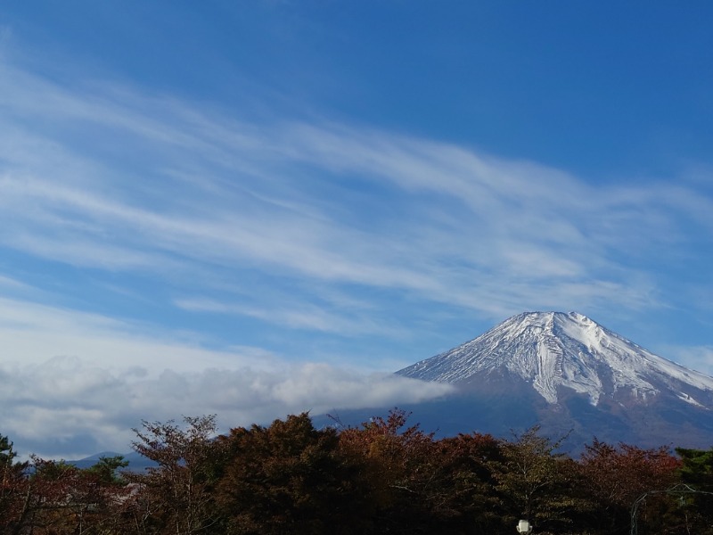 ふかさんのホテルマウント富士のサ活写真