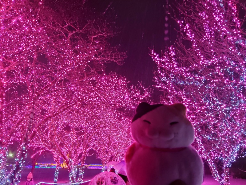 ゆき(･x･)えるさんの橋場温泉 新はしばの湯「雫石あねっこ」のサ活写真