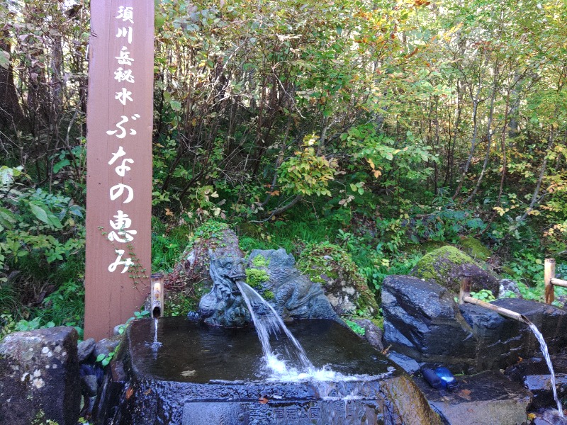 ゆき(･x･)えるさんの須川高原温泉のサ活写真