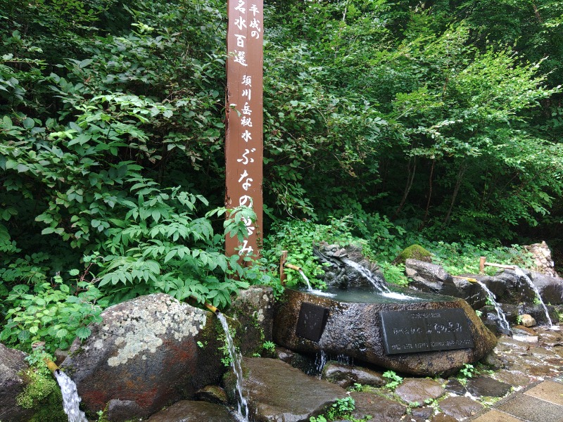 ゆき(･x･)えるさんの須川高原温泉のサ活写真