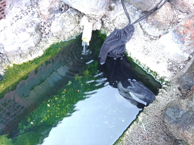 ゆき(･x･)えるさんの鳴子温泉 旅館すがわらのサ活写真