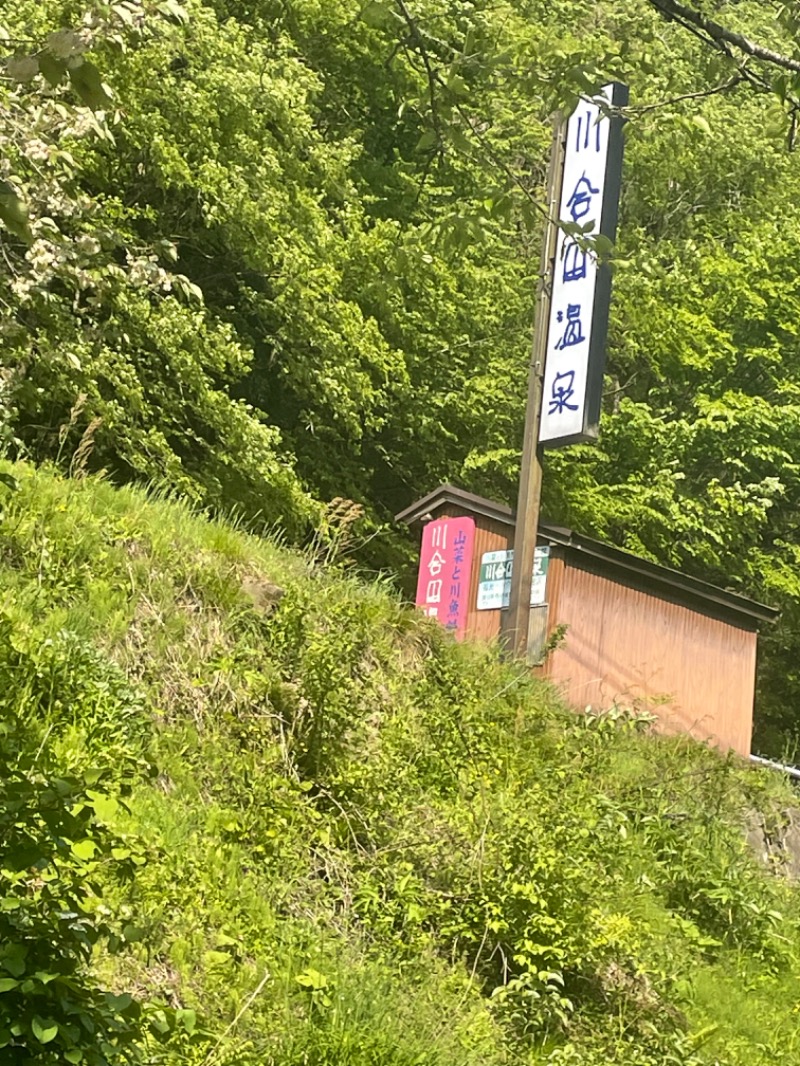 ととなりさんの川合田温泉 サウナ部のサ活写真