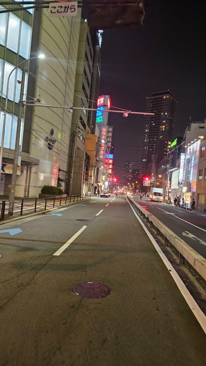 社畜アーマーさんのサウナ&スパ カプセルホテル 大東洋のサ活写真