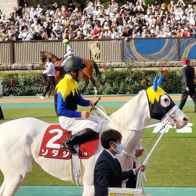 Stay-goldさんの府中湯楽館 桜湯のサ活写真