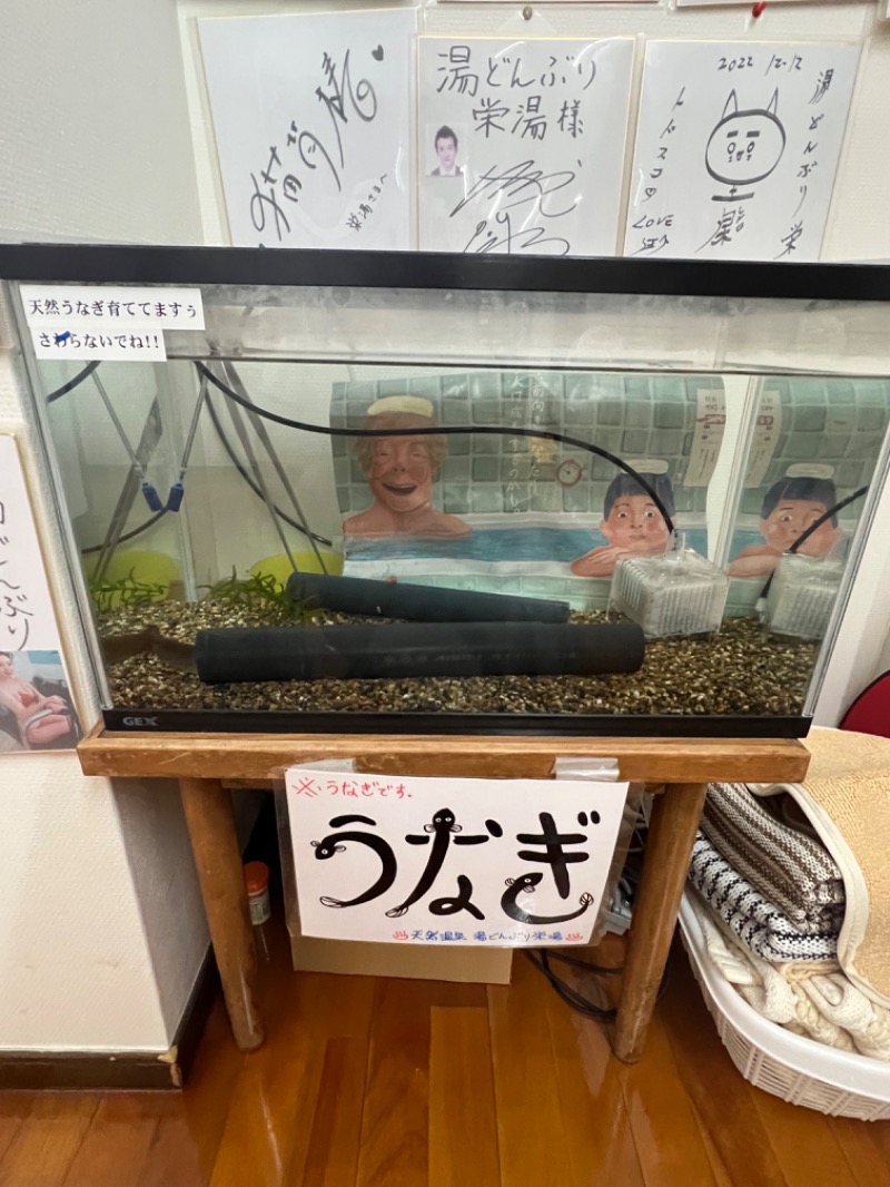 餃子おばさんさんの天然温泉 湯どんぶり栄湯のサ活写真