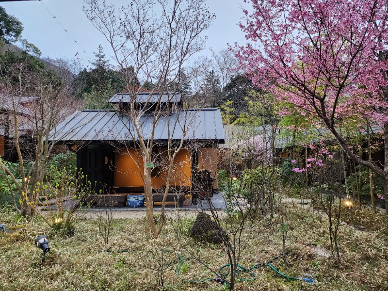 かまちゃんさんの箱根湯寮のサ活写真