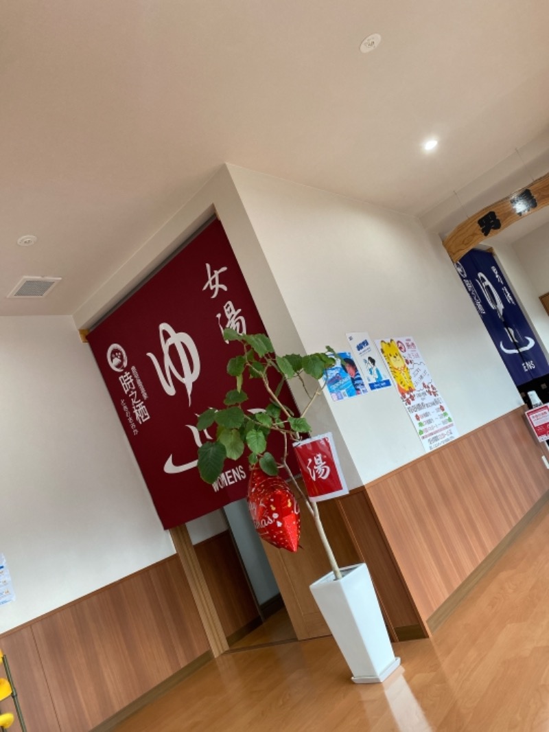 きちこさんの鹿児島温泉 時之栖(ときのすみか)のサ活写真