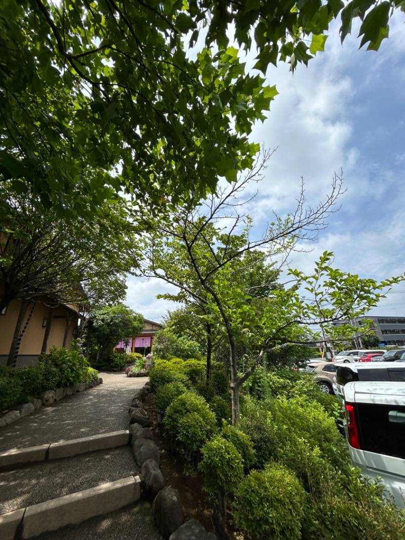 孫八さんのさいたま清河寺温泉のサ活写真