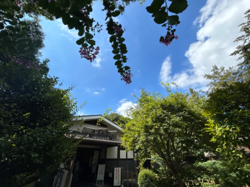 孫八さんの見沼天然温泉 小春日和のサ活写真