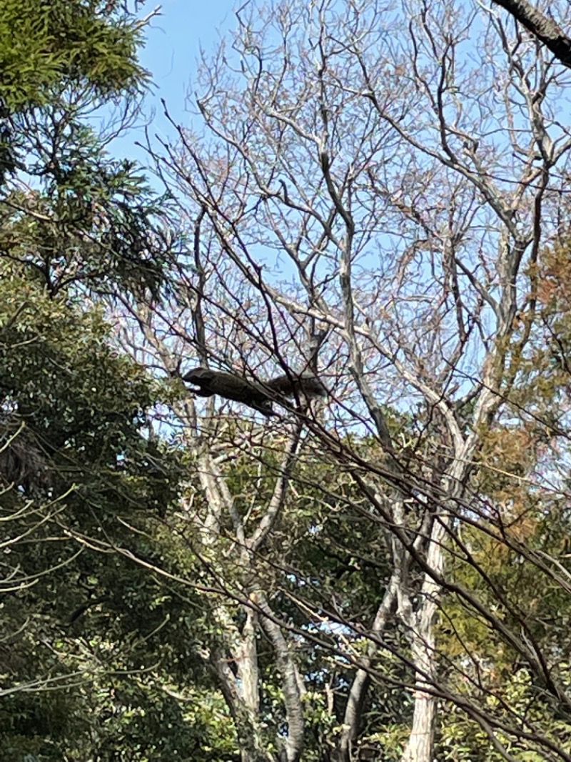 蒸しKINGさんの稲村ヶ崎温泉のサ活写真