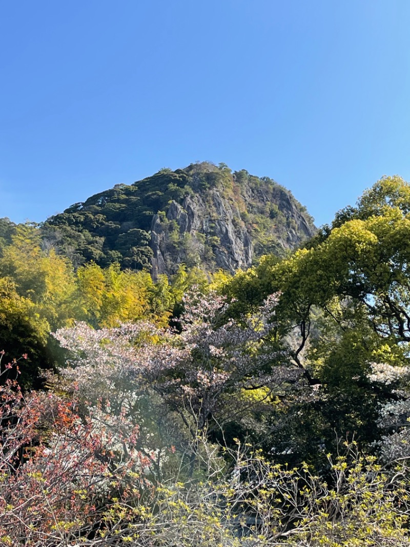 蒸しKINGさんの御船山楽園ホテル  らかんの湯のサ活写真