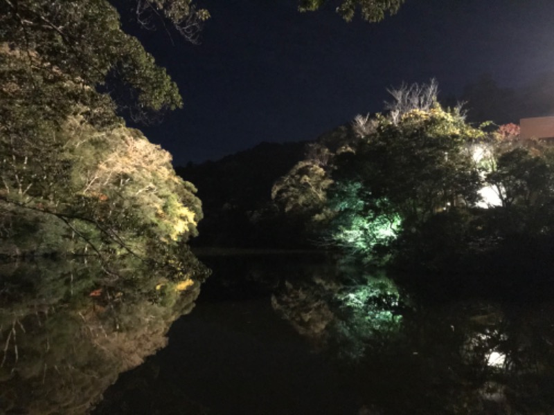 カカさんのつま恋リゾート彩の郷 森林の湯のサ活写真