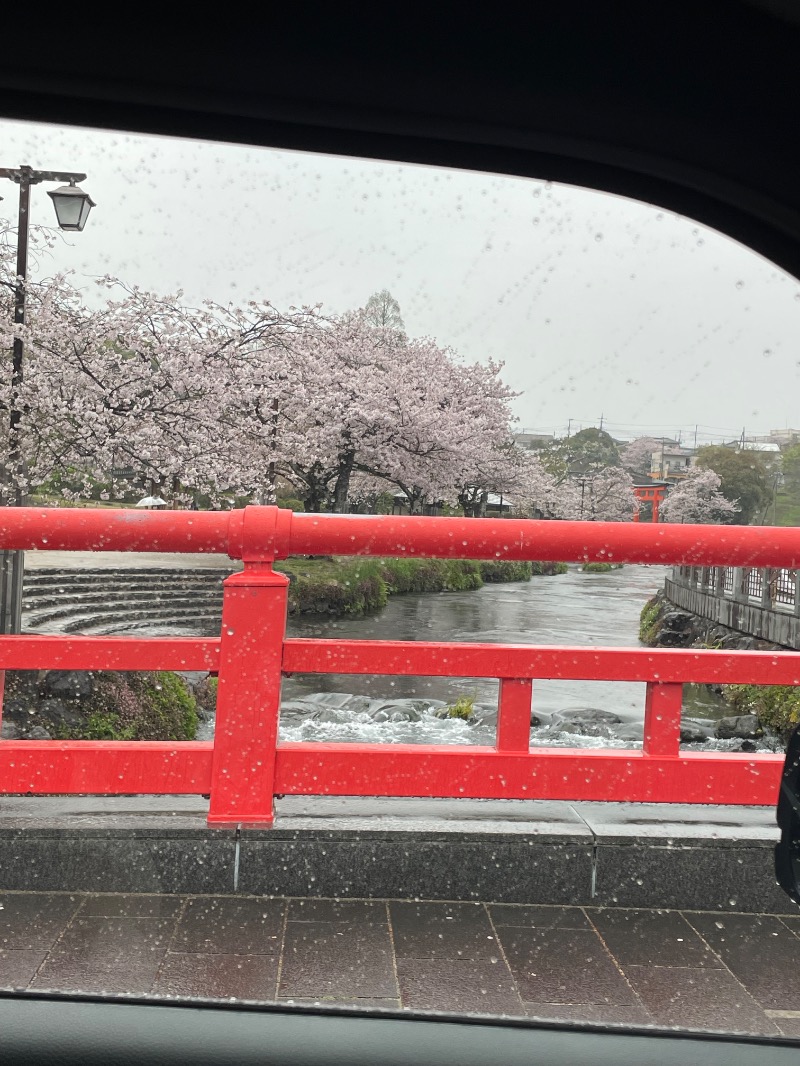 さうなっ子さんの小田原お堀端 万葉の湯のサ活写真