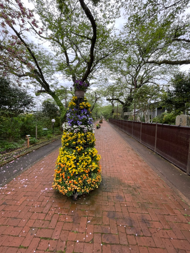 さうなっ子さんの天然温泉 気楽坊 (御殿場時之栖内)のサ活写真