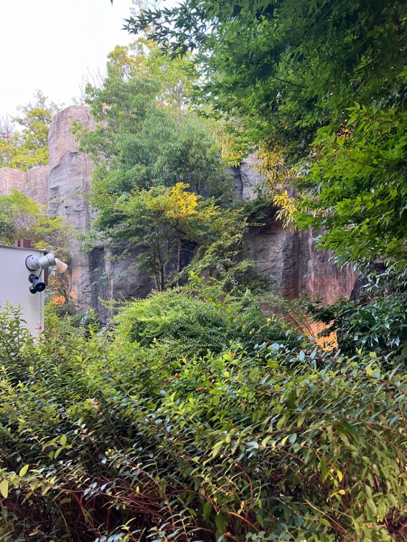 ランさんの虹の湯大阪狭山店のサ活写真