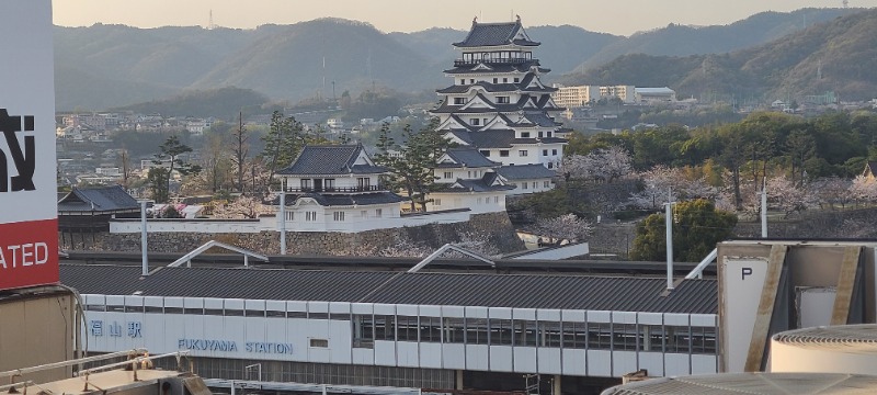 かいどさんのカプセル&サウナ日本のサ活写真