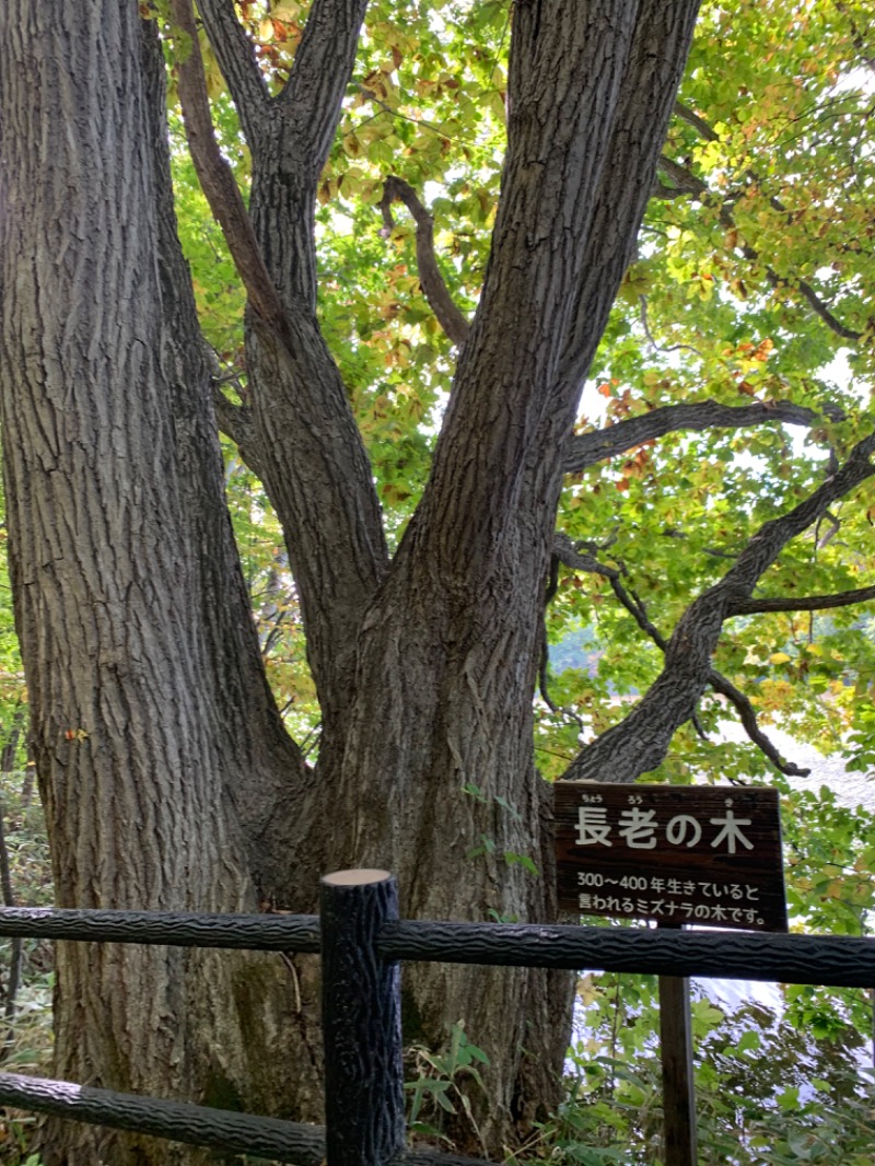 ミケネコロウリュさんの湯の郷 絢ほのかのサ活写真