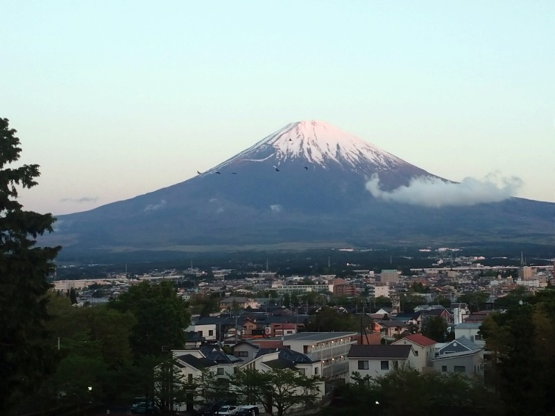 ノンキチさんの天然温泉 富士桜の湯 ドーミーインEXPRESS富士山御殿場のサ活写真